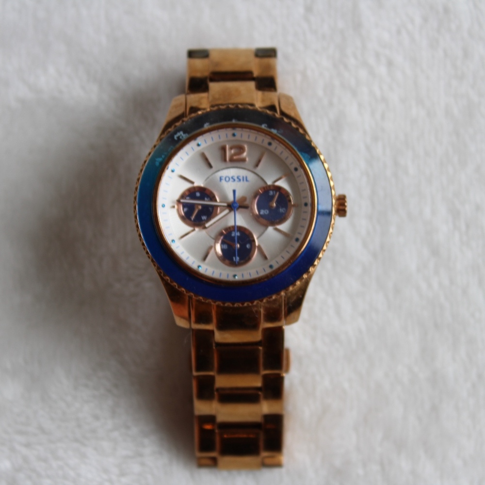 Fossil Watch